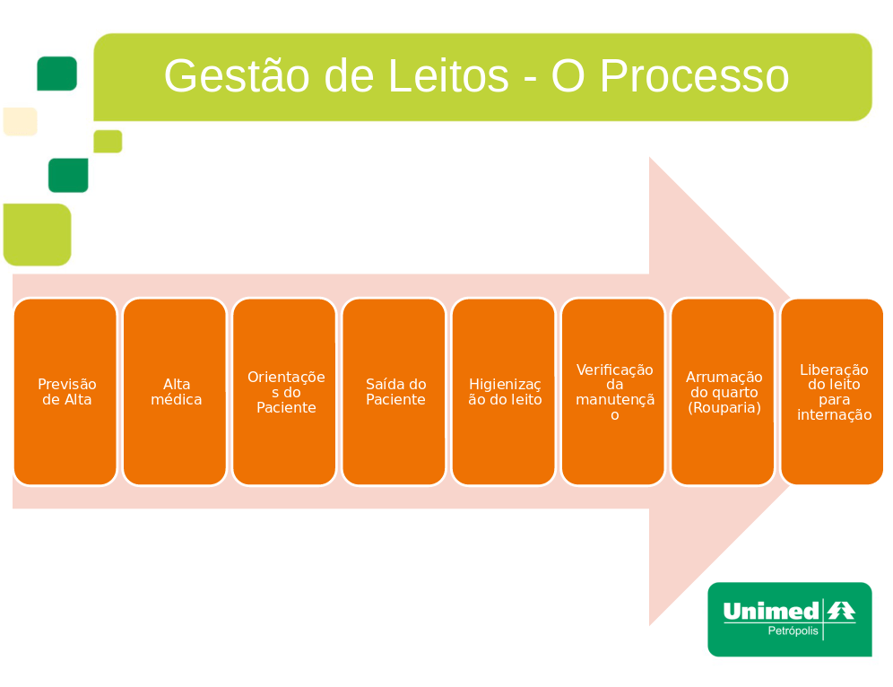 Processo de gestão de leitos